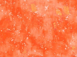cosmos