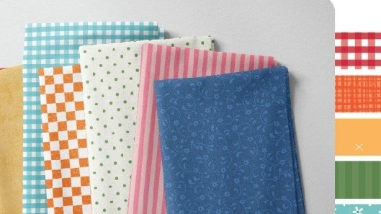 Riley Blake Basics n Notions 2024