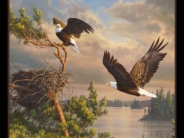 46001 Black. Coming Home by Elizabeth Studio. An eagle fabric panel.