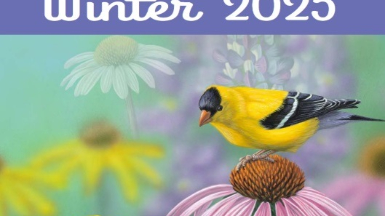 Elizabeth's Studio Fabric Winter 2025 Catalog