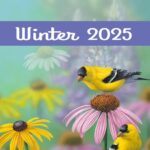 Elizabeth’s Studio Winter 2025 Catalogue