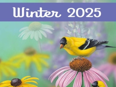 Elizabeth's Studio Fabric Winter 2025 Catalog