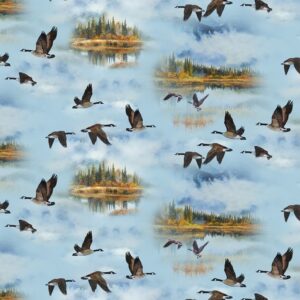 Canadian Geese fabric featuring geese in natural scenery with grass textures and scenic quilt panels from the Wings collection. 48000 Blue