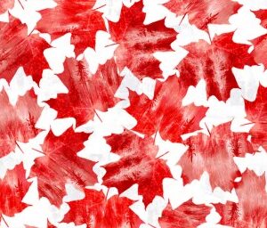 Winter On Ice fabric collection by Windham, featuring Canadian hockey prints, maple leaves, and snowy landscapes – exclusive to International Textiles Ltd. 53747-1
