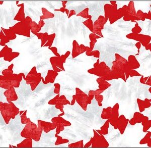 Winter On Ice fabric collection by Windham, featuring Canadian hockey prints, maple leaves, and snowy landscapes – exclusive to International Textiles Ltd. 53747-3