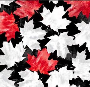 Winter On Ice fabric collection by Windham, featuring Canadian hockey prints, maple leaves, and snowy landscapes – exclusive to International Textiles Ltd. 53747-4