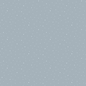 Riley Blake R-4 2025 flannel fabric collection featuring dinosaur prints and pastel blenders for quilts, kids' clothing, and home décor – available in Canada. F17515 Silver