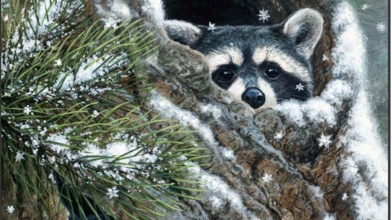 Elizabeth's Studio Fall 2025 catalogue.