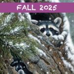 Elizabeth’s Studio Fall 2025 Catalogue