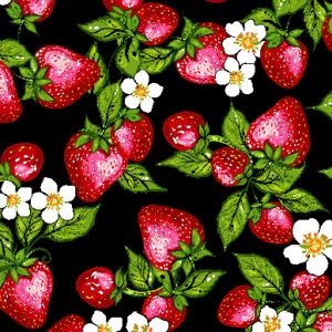 Indigenous fabric panel from Strawberry Dreamcatcher by Carla Joseph featuring a strawberry plant rooted in a heart-shaped dreamcatcher, symbolizing love, healing, and connection to the land. CAJ-0008 | Black