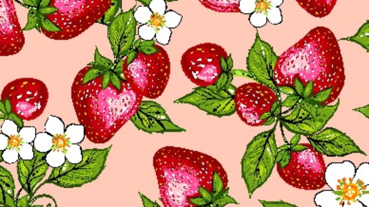 Indigenous fabric panel from Strawberry Dreamcatcher by Carla Joseph featuring a strawberry plant rooted in a heart-shaped dreamcatcher, symbolizing love, healing, and connection to the land. CAJ-0008 | Coral