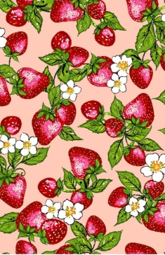 Indigenous fabric panel from Strawberry Dreamcatcher by Carla Joseph featuring a strawberry plant rooted in a heart-shaped dreamcatcher, symbolizing love, healing, and connection to the land. CAJ-0008 | Coral