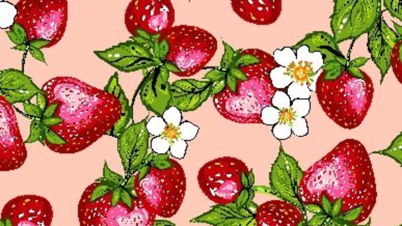 Indigenous fabric panel from Strawberry Dreamcatcher by Carla Joseph featuring a strawberry plant rooted in a heart-shaped dreamcatcher, symbolizing love, healing, and connection to the land. CAJ-0008 | Coral