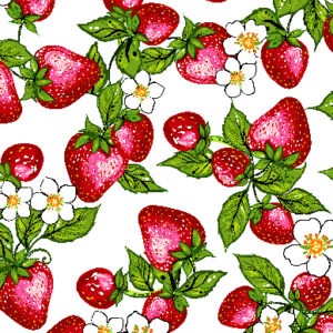 Indigenous fabric panel from Strawberry Dreamcatcher by Carla Joseph featuring a strawberry plant rooted in a heart-shaped dreamcatcher, symbolizing love, healing, and connection to the land. CAJ-0008 | White