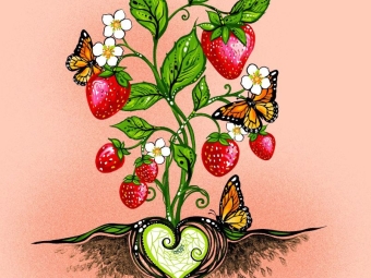 Indigenous fabric panel from Strawberry Dreamcatcher by Carla Joseph featuring a strawberry plant rooted in a heart-shaped dreamcatcher, symbolizing love, healing, and connection to the land. CAJ-0005P | Coral