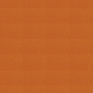 Wool fabrics are now available at International Textiles Ltd — your trusted Canadian fabric wholesaler. W110-AMBER