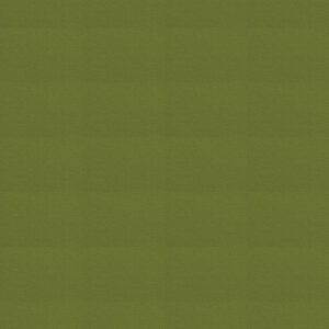 Wool fabrics are now available at International Textiles Ltd — your trusted Canadian fabric wholesaler.
