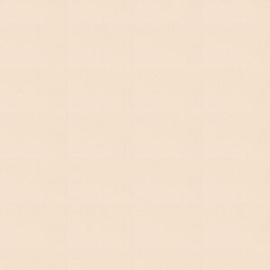 Wool fabrics are now available at International Textiles Ltd — your trusted Canadian fabric wholesaler. W110-SESAME