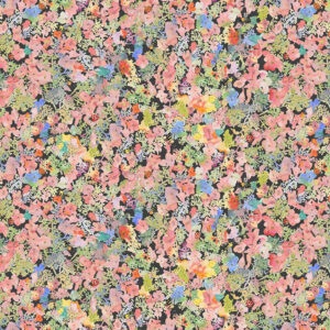 Forest Fruits fabric collection featuring illustrated wild berries, forest fruits, mushrooms, and flowers in a nature-inspired design, available at International Textiles in Canada. 54775D-10