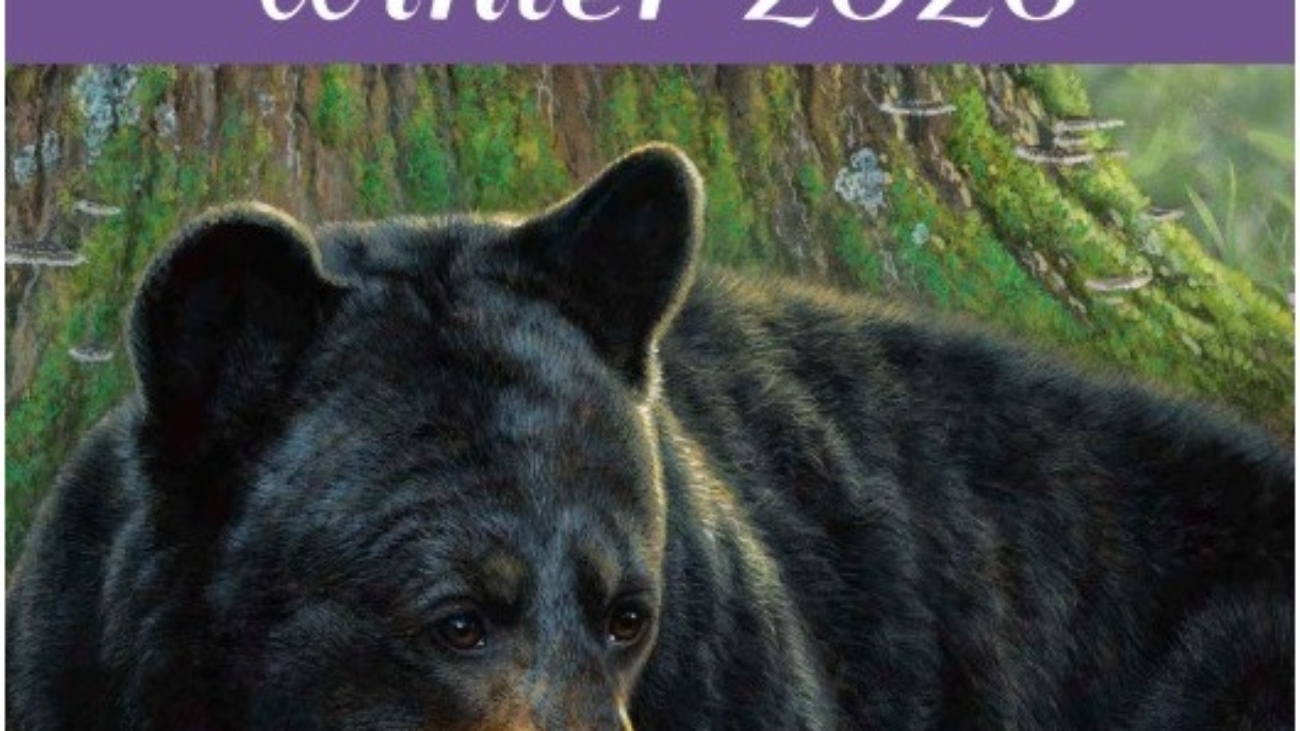 Elizabeth’s Studio Winter 2026 fabric collection featuring animal and Indigenous designs